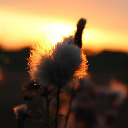 Vakantiehuis Loft Nad Stawem 4d4dz *