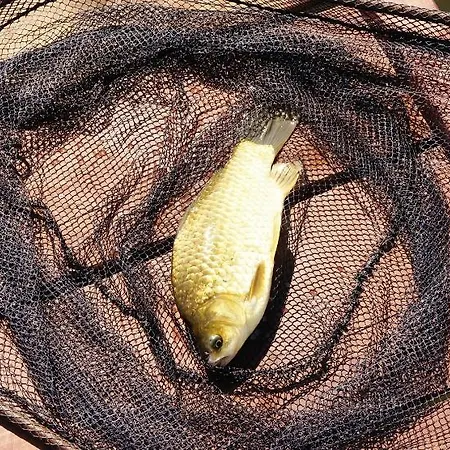 Loft Nad Stawem 4d4dz Ferienhaus *