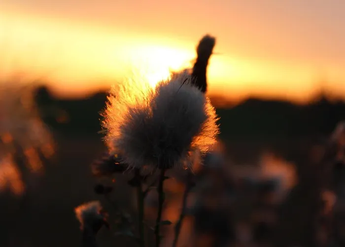 Hébergement de vacances Loft Nad Stawem 4d4dz *