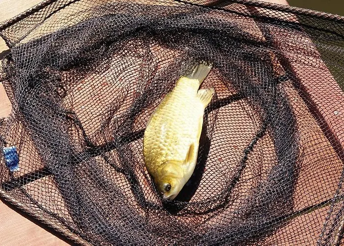 Loft Nad Stawem 4d4dz Vakantiehuis *