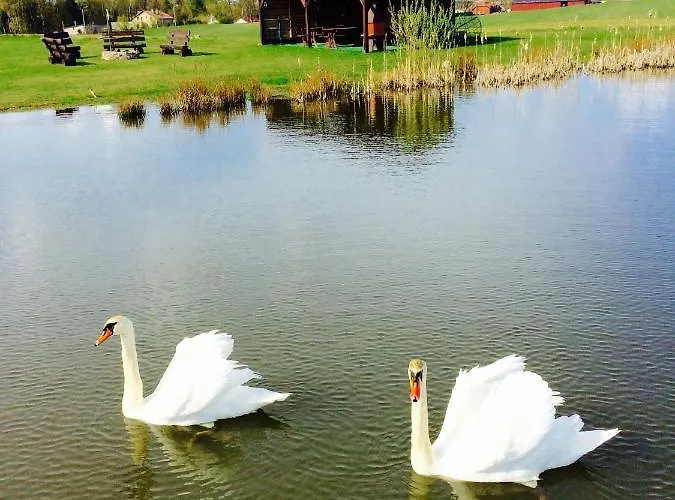 Loft Nad Stawem 4d4dz Malkowo